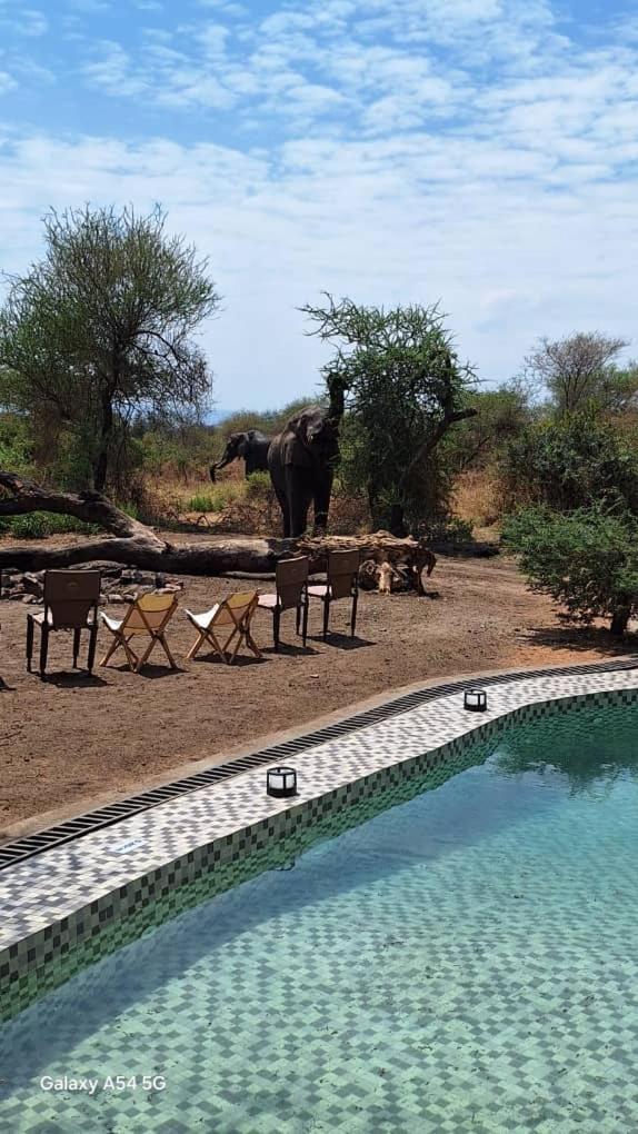 Elephant Lodge Kwa Kuchinia