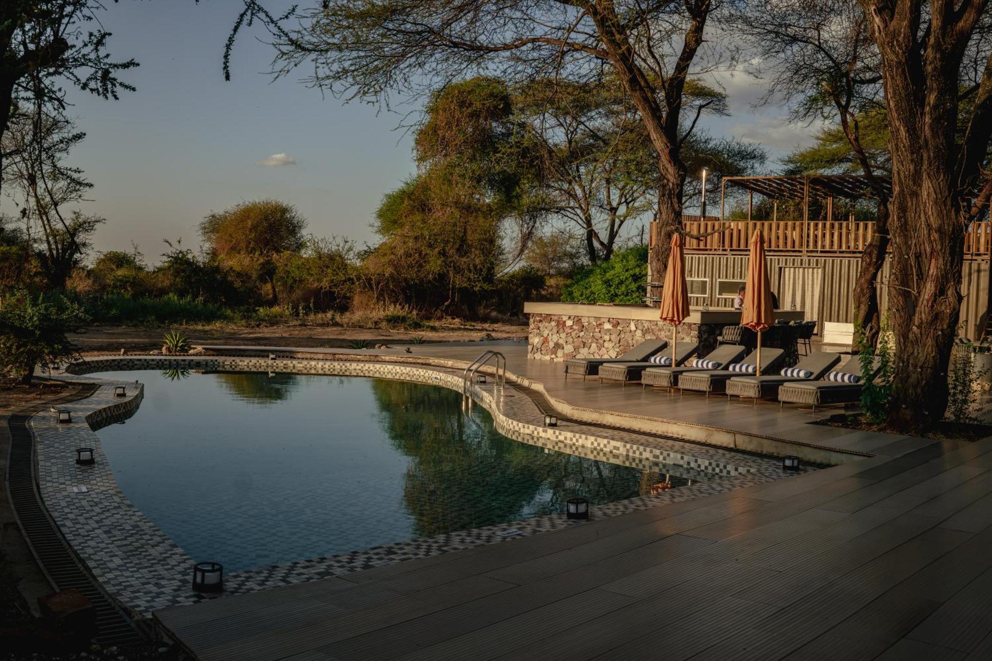Lodge Elephant