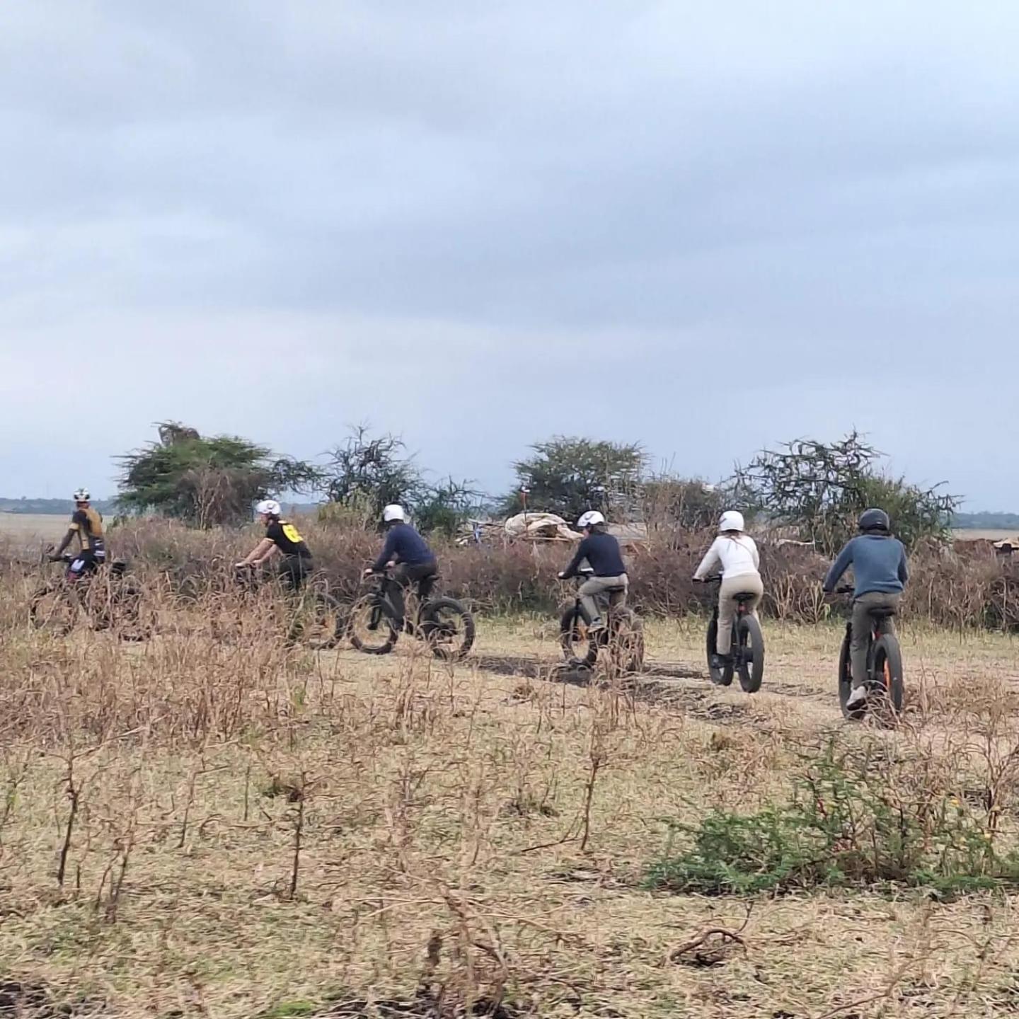 Lodge Elephant *