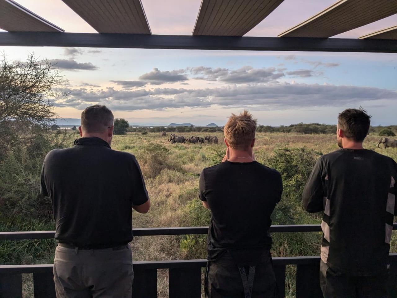 Lodge Elephant *