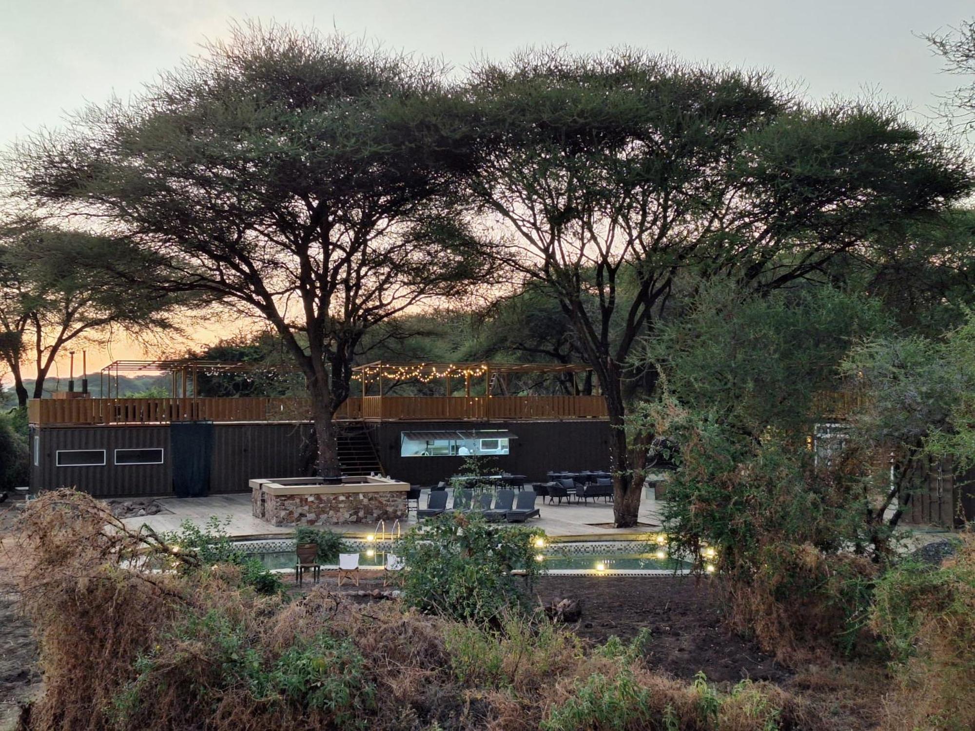 Lodge Elephant *