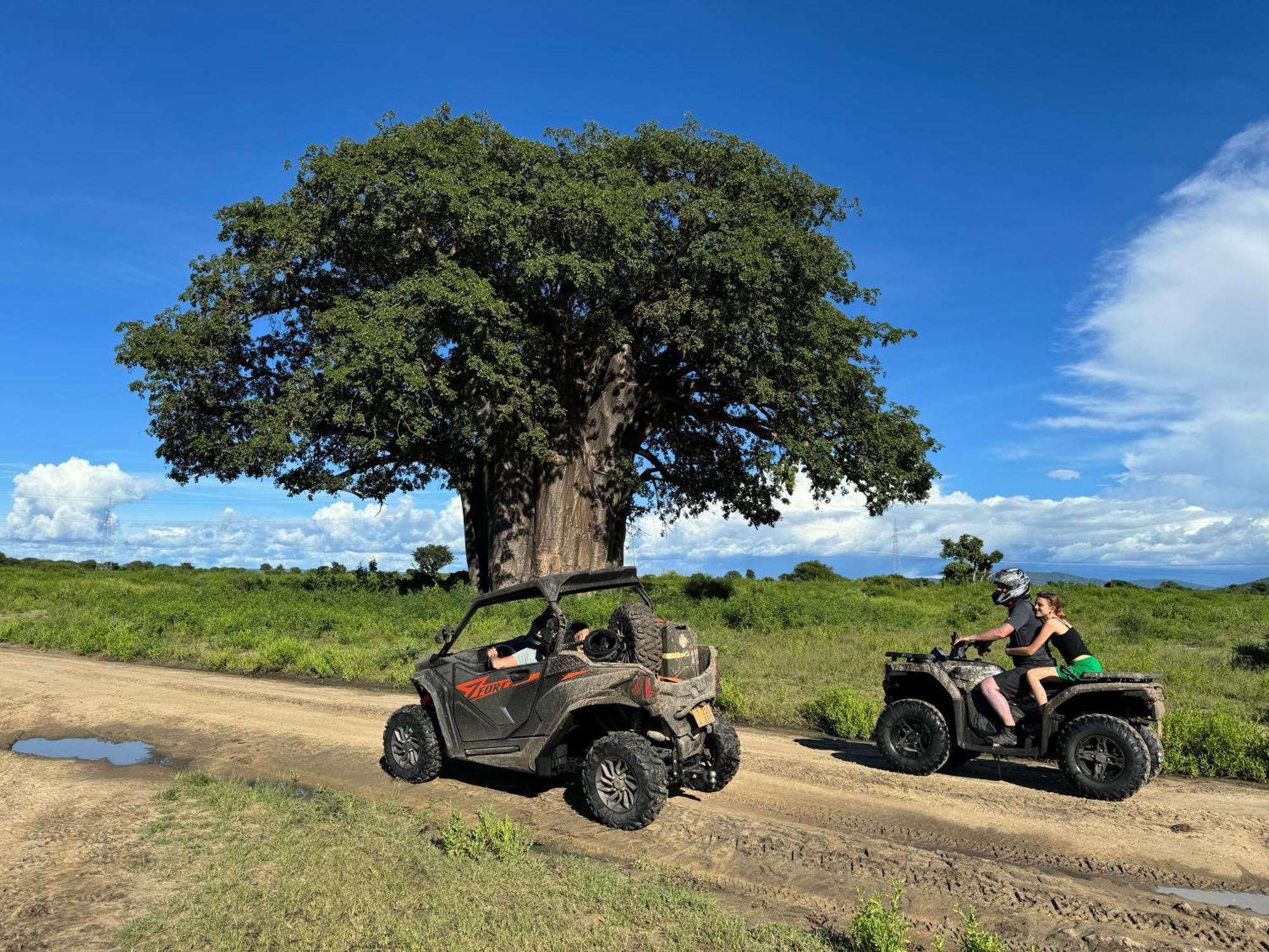 Lodge Elephant Kwa Kuchinia
